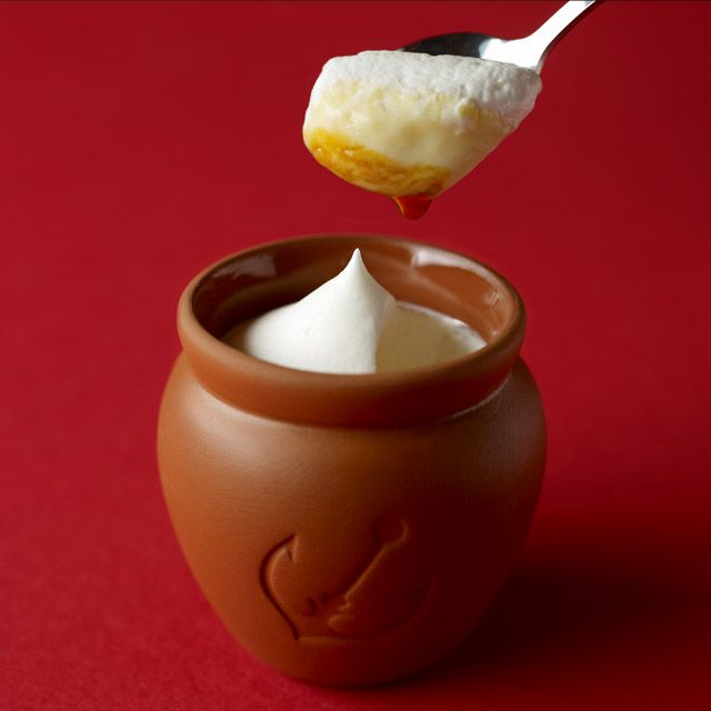 リピート　プリン様用 exelent3-s_2048x.jpg?v=1756361802